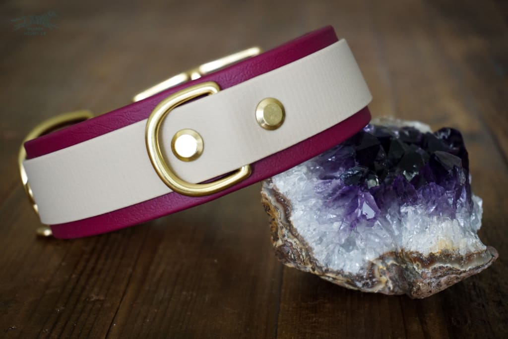 The Sonali - 1.5 Layered Buckle Collar - Waterproof Collar