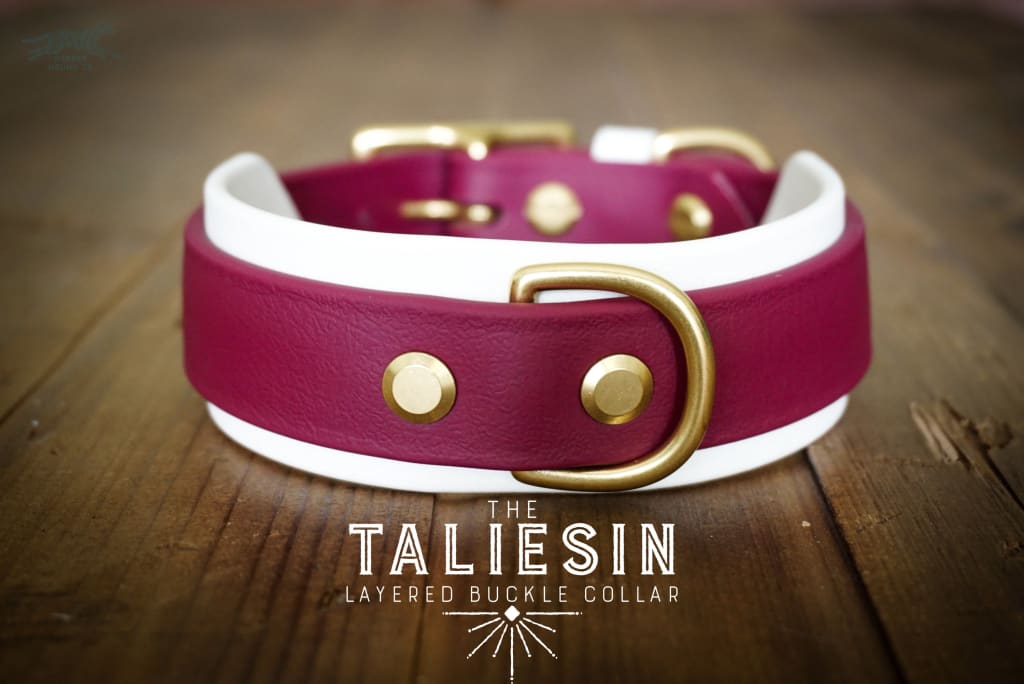 The Taliesin - Layered Buckle Collar - Waterproof Collar