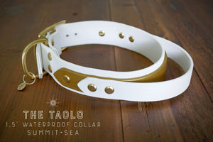 The Taolo 1.5 Waterproof Quick Control Handle Collar - Waterproof Collar