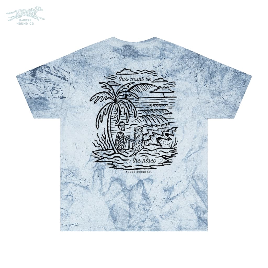 This Must Be The Place Unisex Color Blast T-Shirt - Ocean / S - T-Shirt