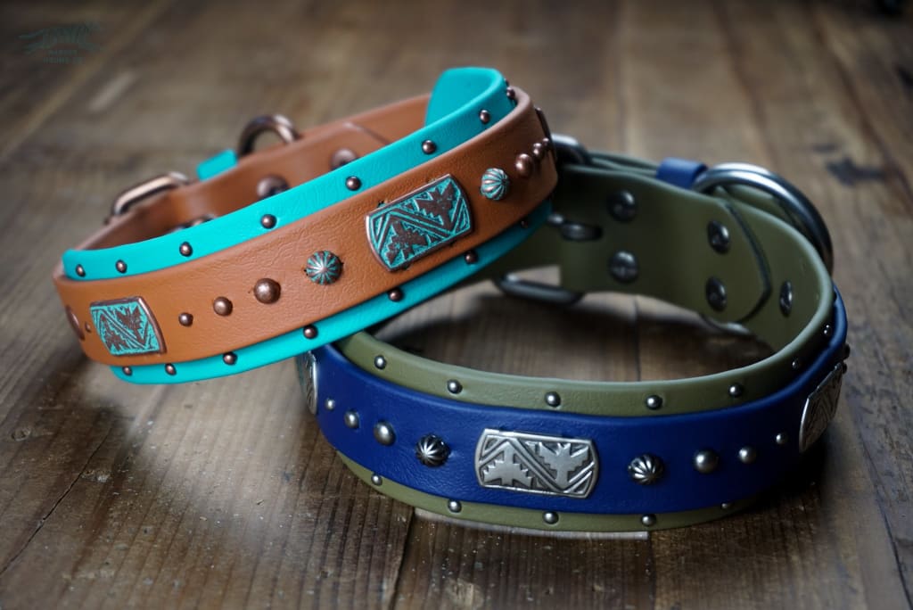 THUNDERBIRD 1.5 Studded Buckle Collar - Waterproof Collar