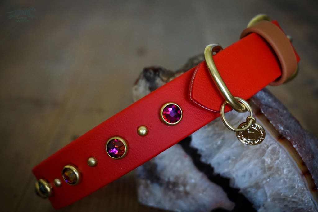TOFINO 1 Crystal Studded Buckle Collar - Waterproof Collar