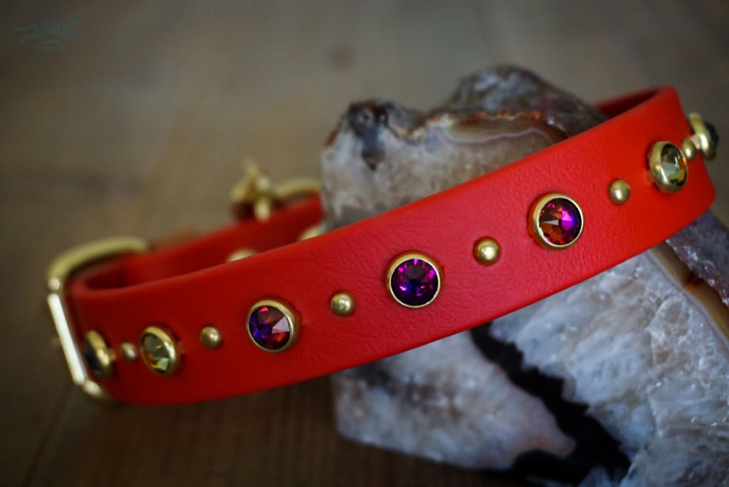 TOFINO 1 Crystal Studded Buckle Collar - Waterproof Collar