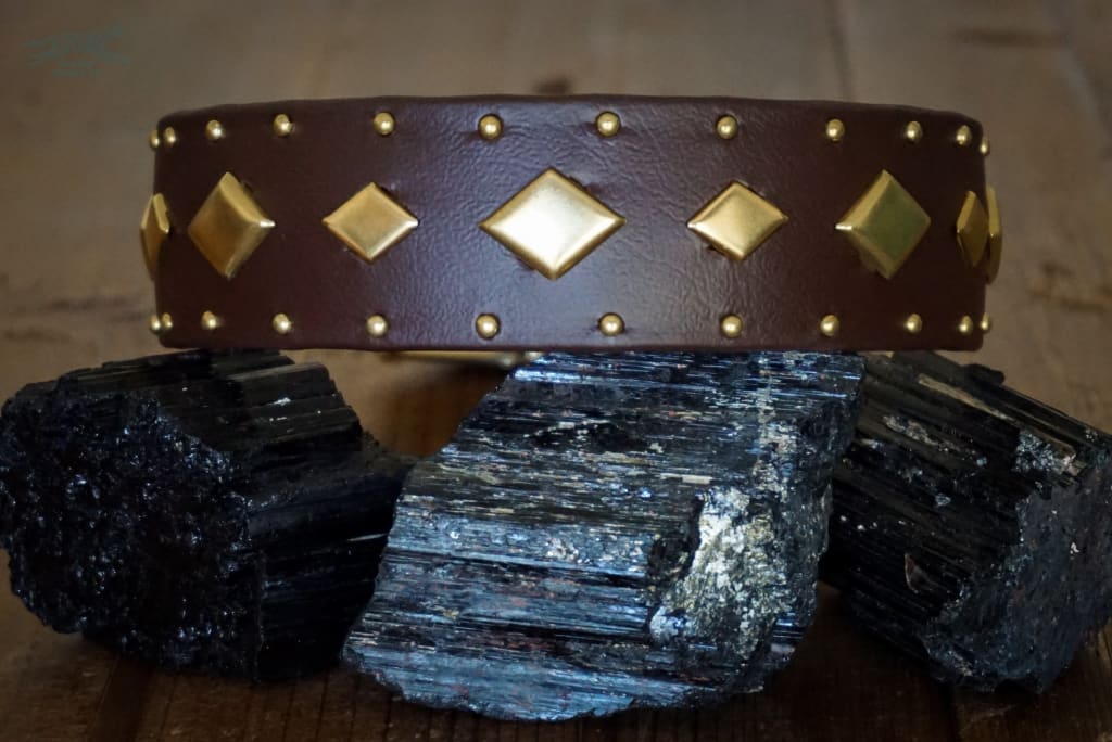 URSUS 1.5 Studded Buckle Collar - Waterproof Collar