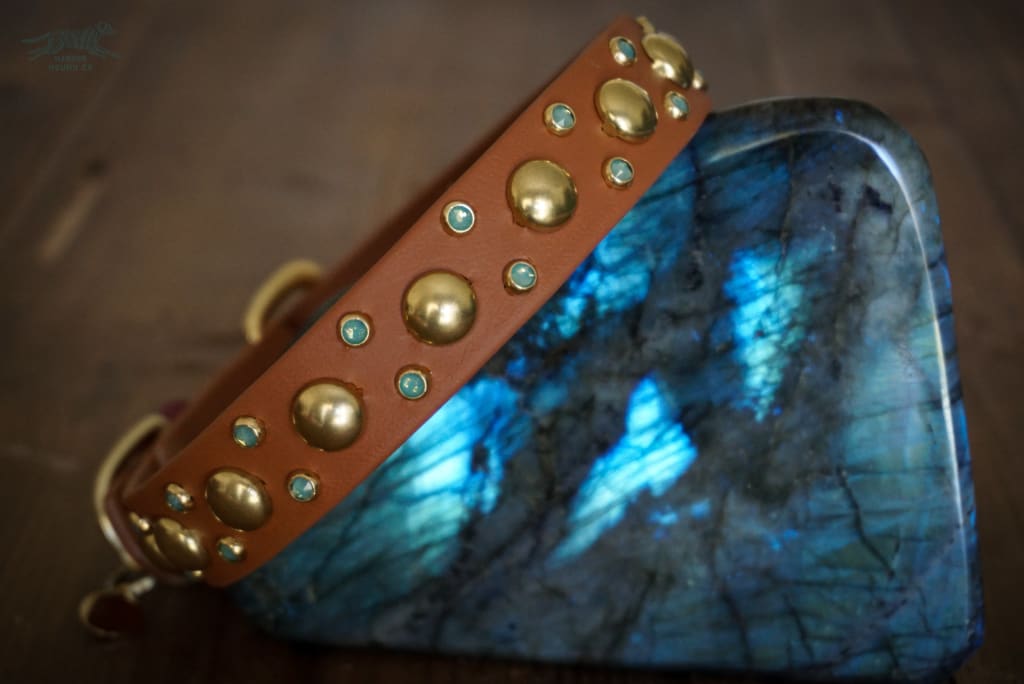 VOLANS 1 Crystal Studded Buckle Collar - Waterproof Collar