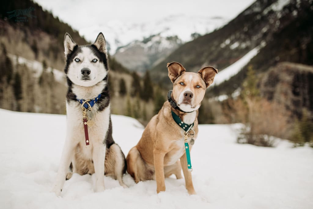 looped 6 inch tab with O ring